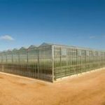 This Australian glasshouse uses Capstone microturbines for reliable power with low emissions.